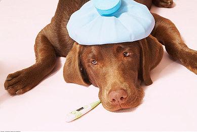 游戏博主力挺《星球大战：亡命之徒》：你们喷它只因为育碧